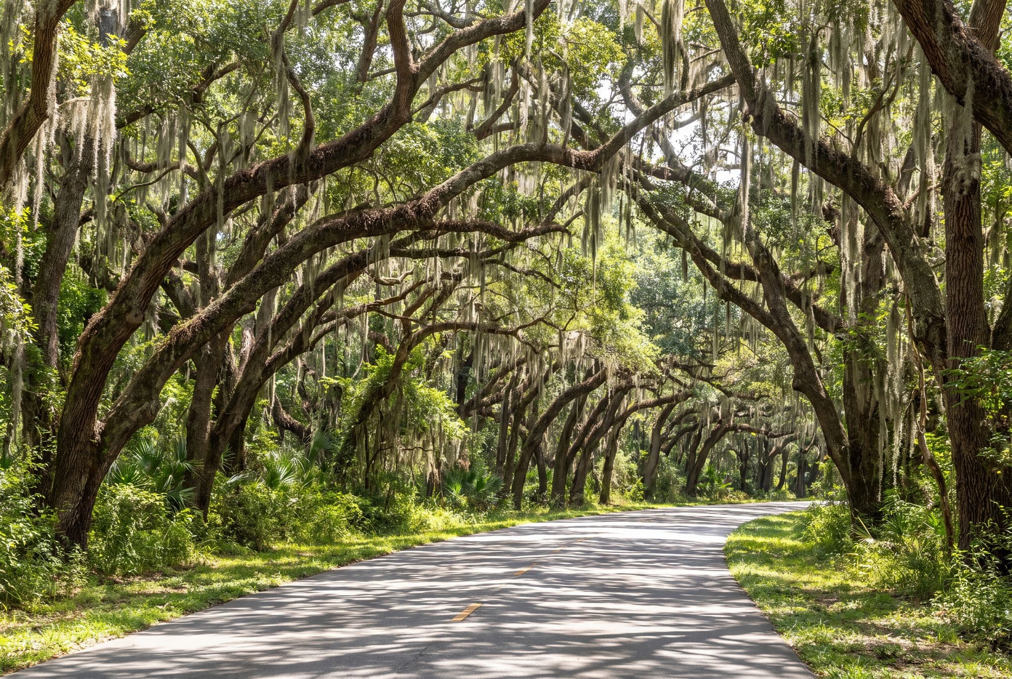Tallahassee, Florida