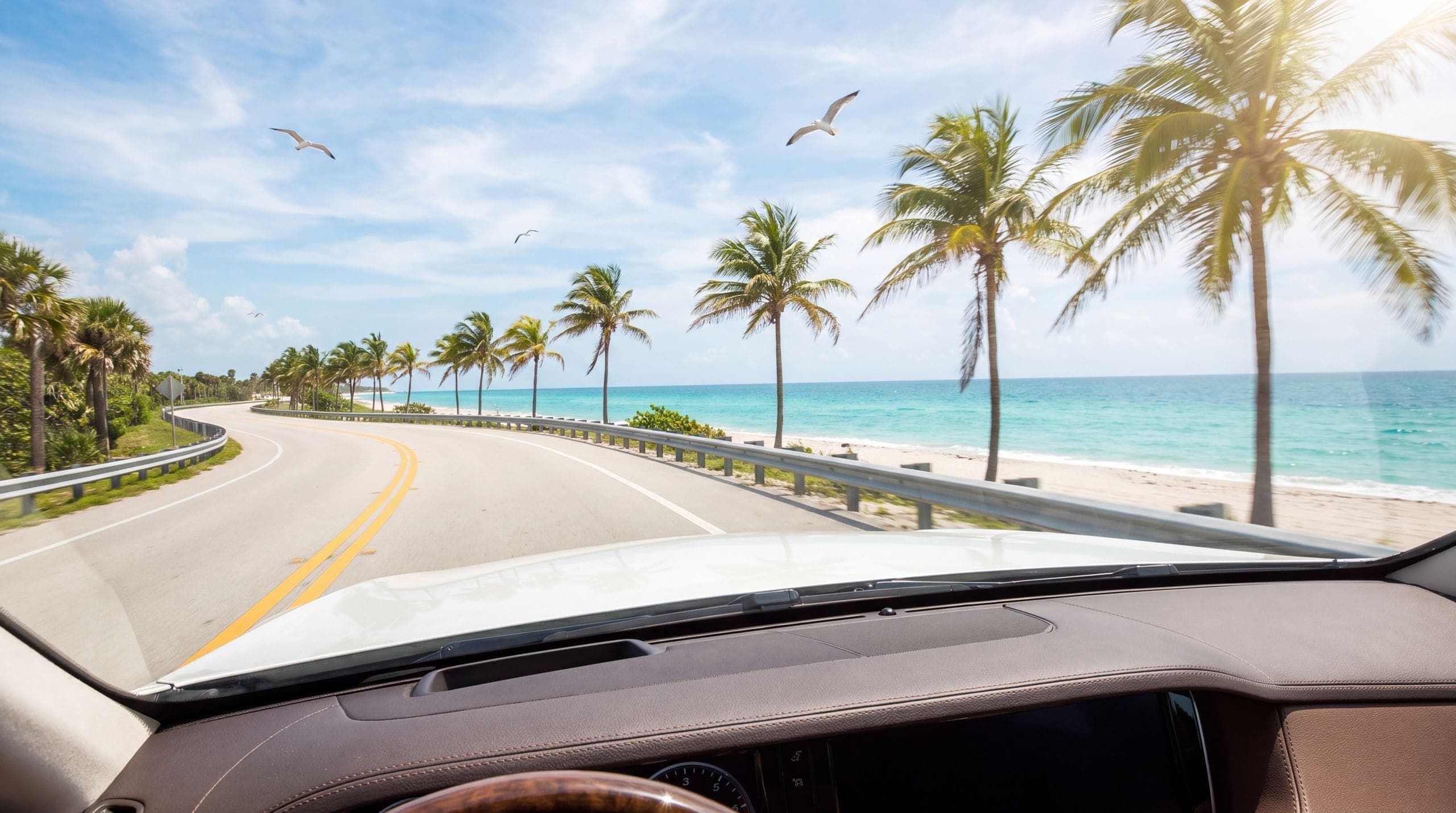 View from a car driving a Florida coastal highway lined with palm trees